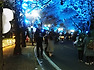 대구 이월드 별빛벚꽃축제 야경