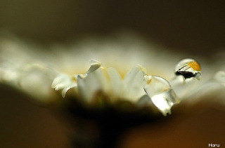 0142A34B51A6ED80150087