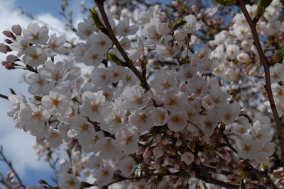 014B6F335170DF5108394E