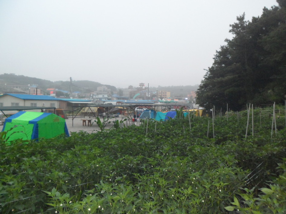 캠핑박사 이미지