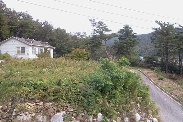 원주시 ﻿﻿부론면 단강리 전원주택 매매