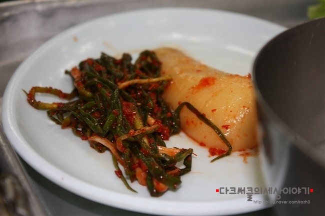 황금오리 이미지
