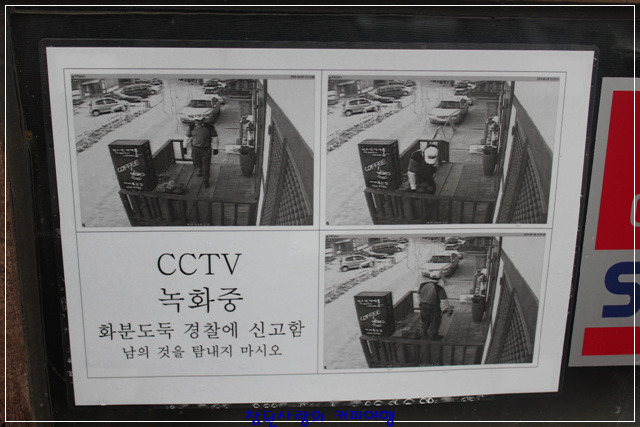 빈스인가배몽 이미지
