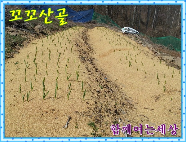 꼬꼬식품 이미지