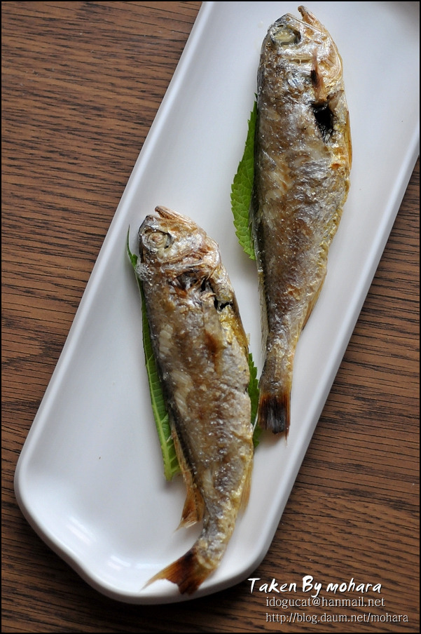 이가참치 이미지