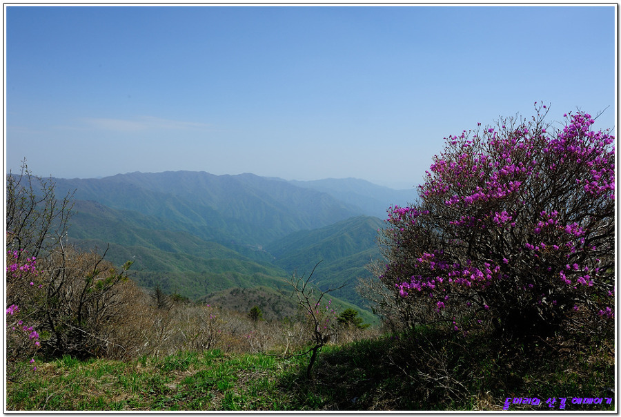 지리골짝 알아보기...빗점골
