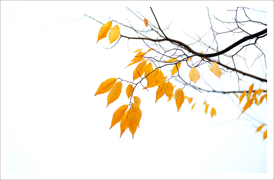 이정님의 멋진 추경