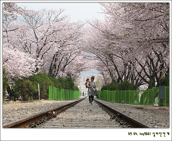 경화조경 이미지