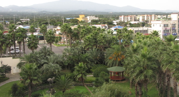 イメージ全体表示