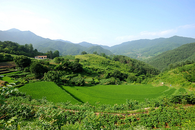지리산숲길 이미지