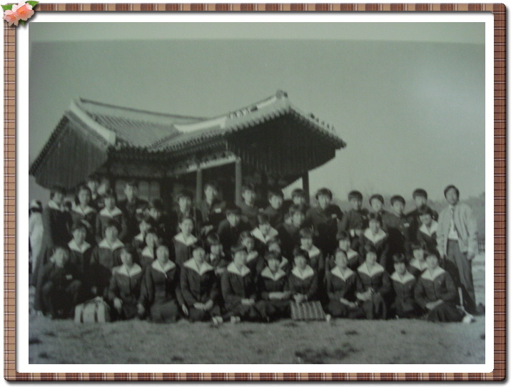 135C1D44517CF7BA214AA0