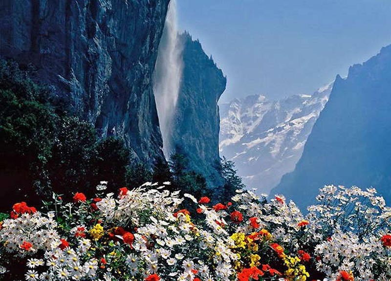 http://cfile226.uf.daum.net/image/1376C6534D7AA14C2791D6