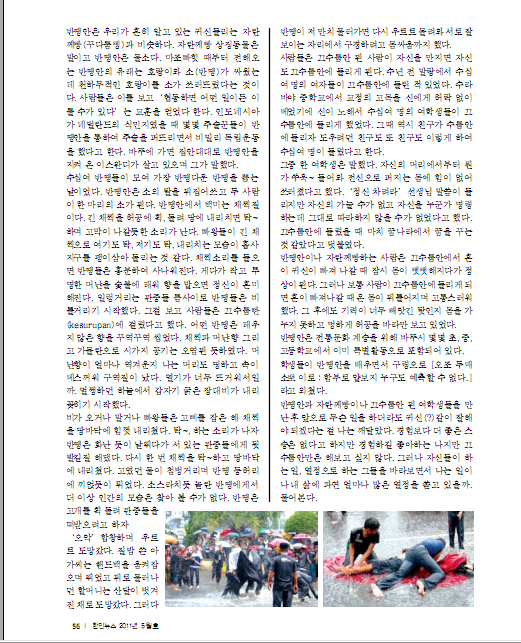 인도네시아 한인뉴스 2011년 5월호