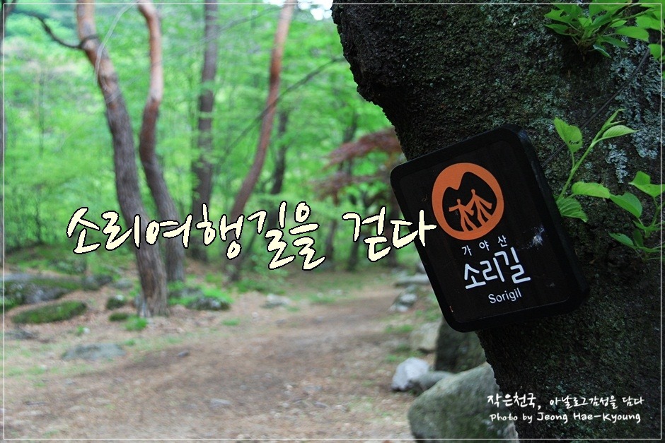 (주)성보기업 이미지