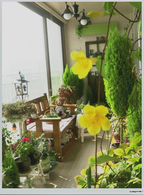 봄...베란다 정원을 서성거리다가....