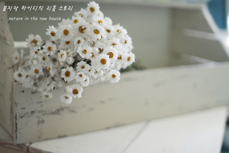 해피리폼 이미지