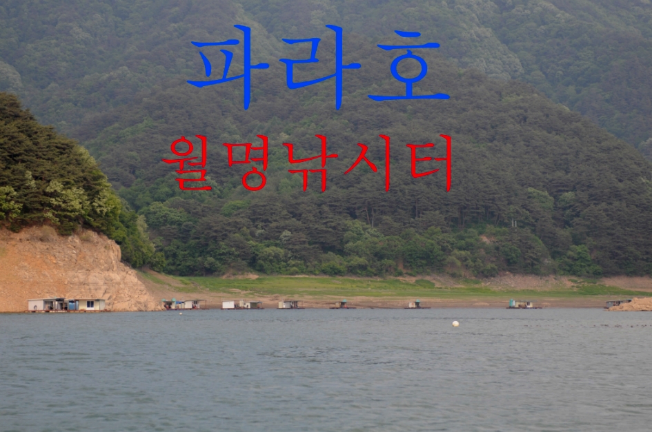 그~네 민물낚시 노지조행기 > 파라호 월명낚시터 를 가~다 : 낚시사랑