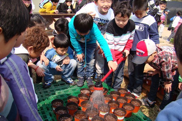 대산초등학교 이미지
