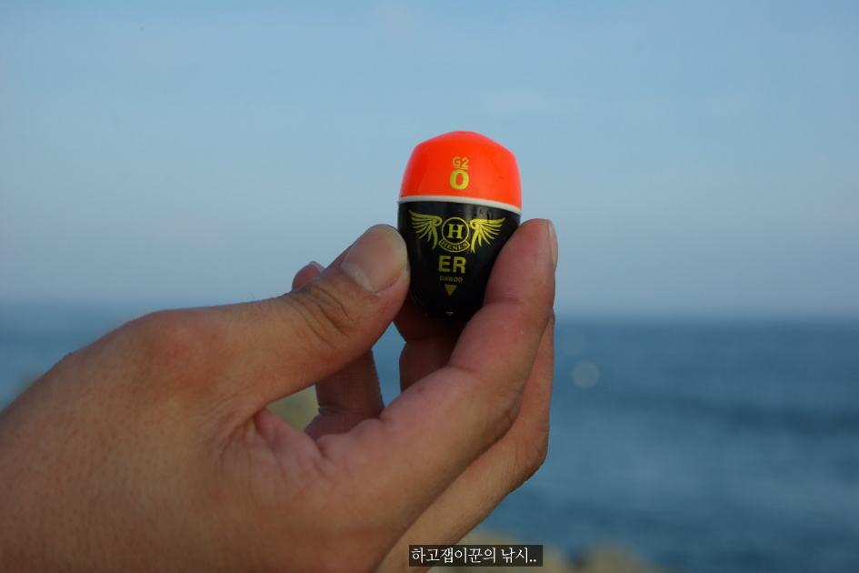 1664E24E500A58A63885E8