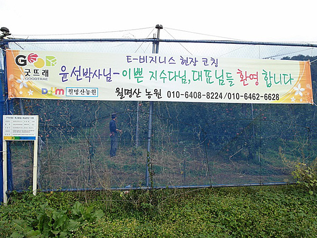 나무이야기민박 이미지
