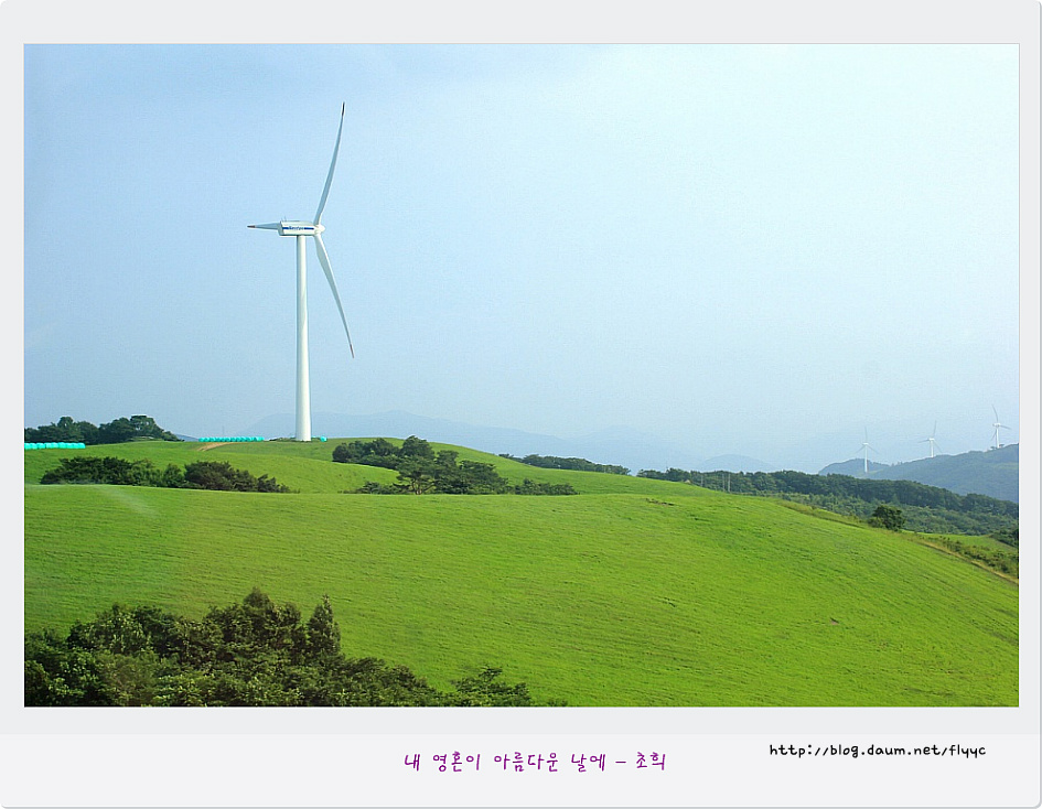 (주)대관령식품 이미지