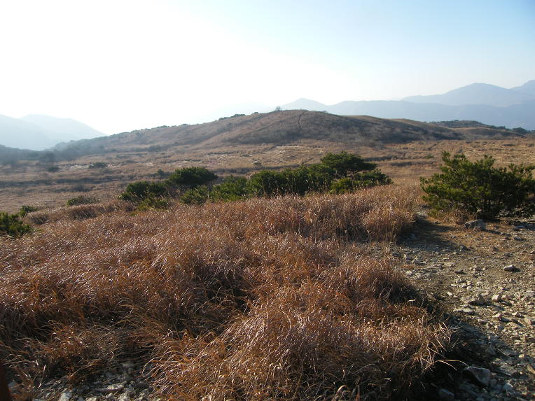 코오롱스포츠용인 이미지