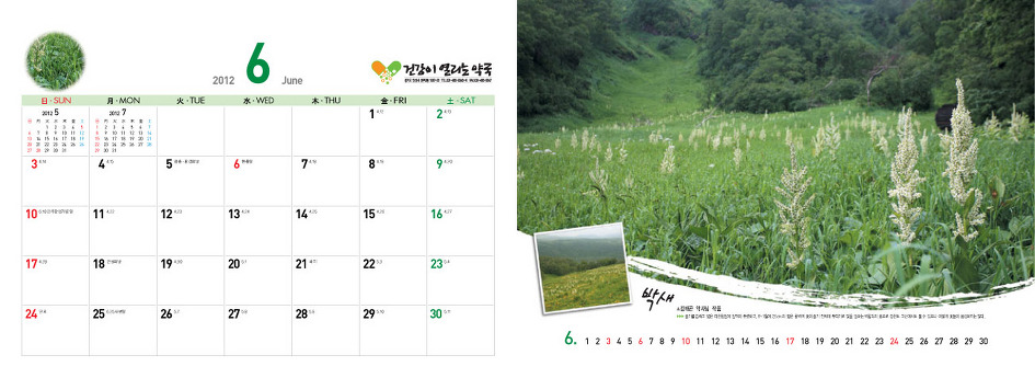 야생화달력탁상용2012년-백두산속야생화