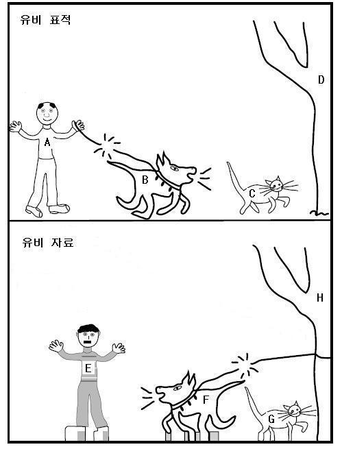 유비와 유추를 통해 본 영재 교육의 문제점