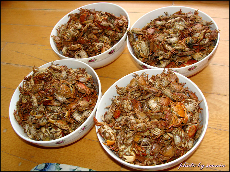 서해안 여행에서 잡은 게, 보말, 홍합