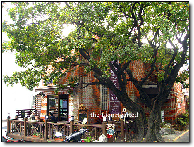 [엘름] 400년 수령의 느릎나무 그늘에서 커피를 ~ 남천동 해변시장 끝머리