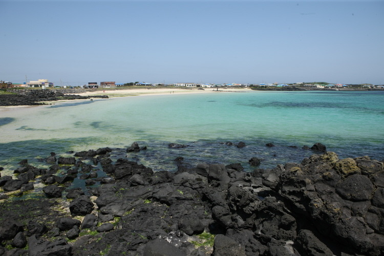제주도 동쪽 끝에 우도에 다녀왔어요