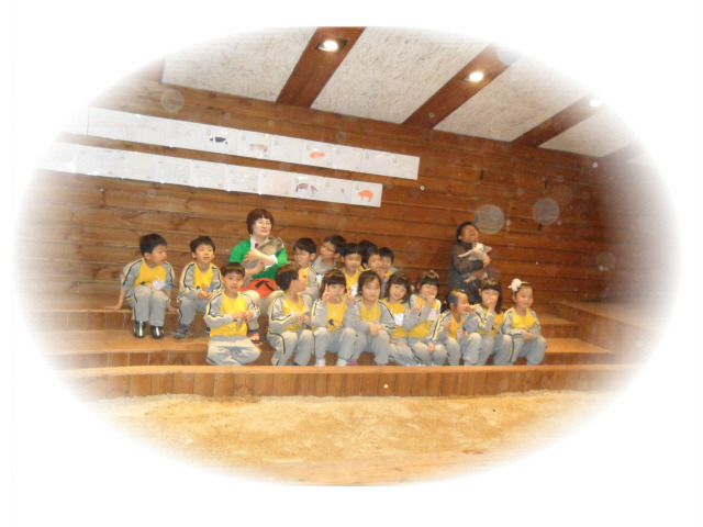 안흥초등학교 이미지