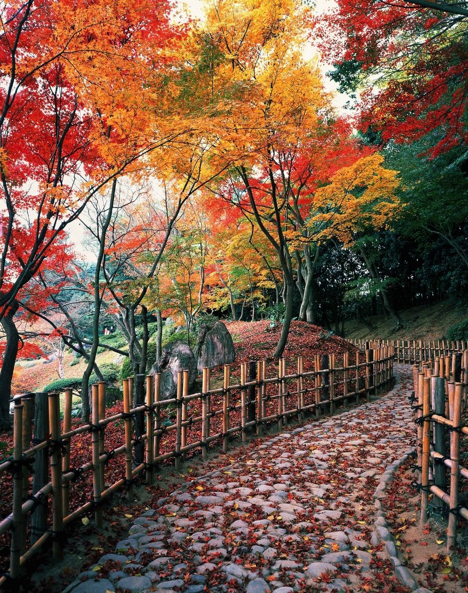  만추   