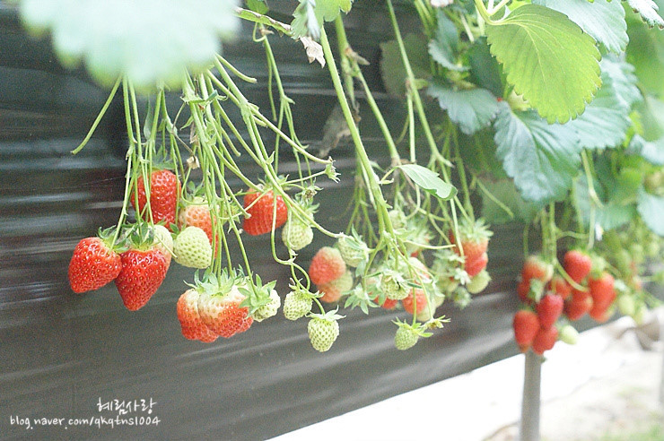 1877F3524DA873FB227299