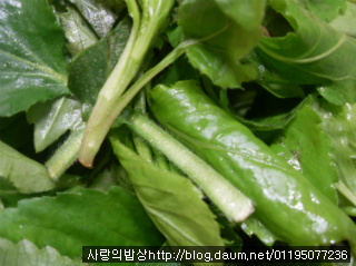 바쁜아침 반찬걱정은 끝! 6가지 환상의 봄나물 무침세트>_
