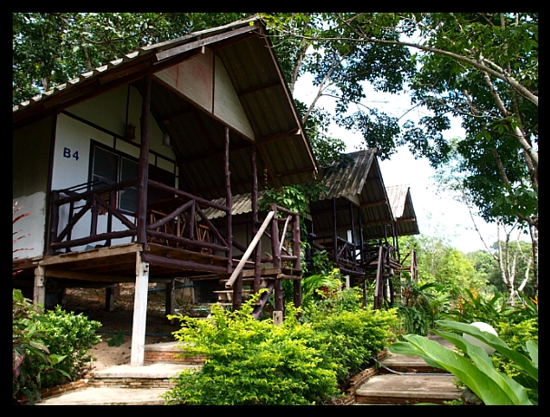 195F5A4E4E0ECD6618E4D1