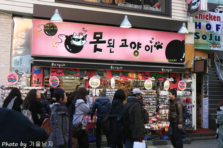 못된고양이 이미지