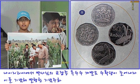 행복옥수수 이미지