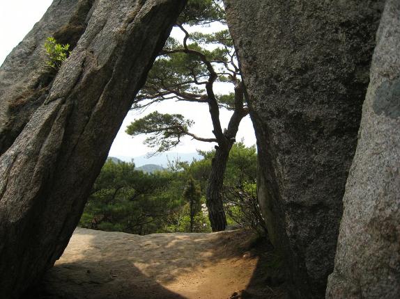 팔공산 올레 1길에서 인봉 노적봉 관봉을 걷다