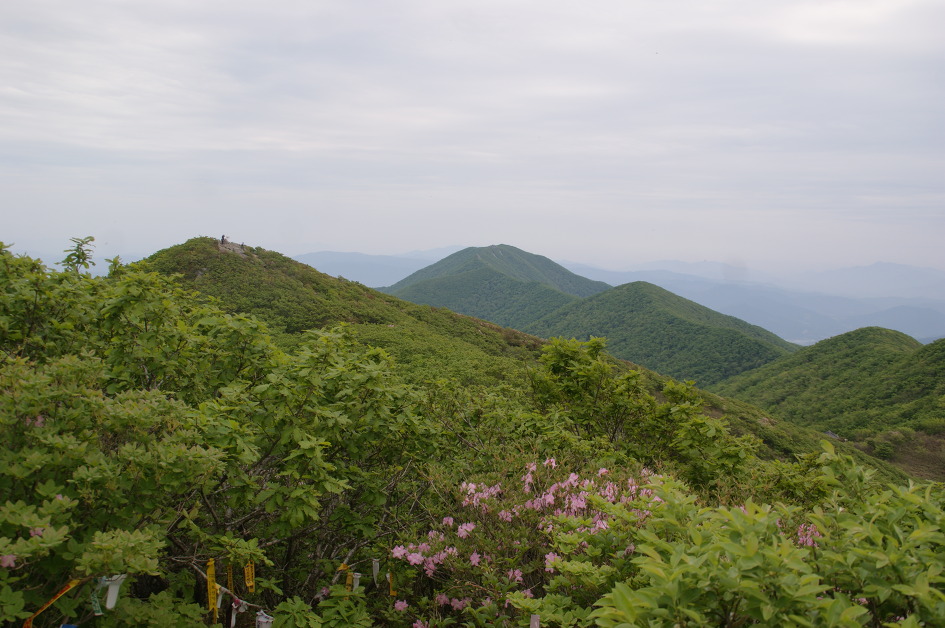 금원산 ~ 기백산(15. 5.23)에서 바위와 멋진 조망을 즐기고 행복을 누리다.