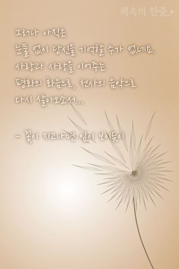 책속의 한줄