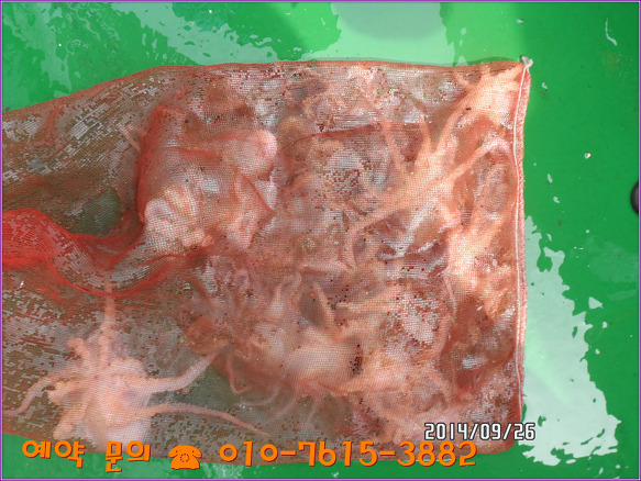 213C5248542562072CD360