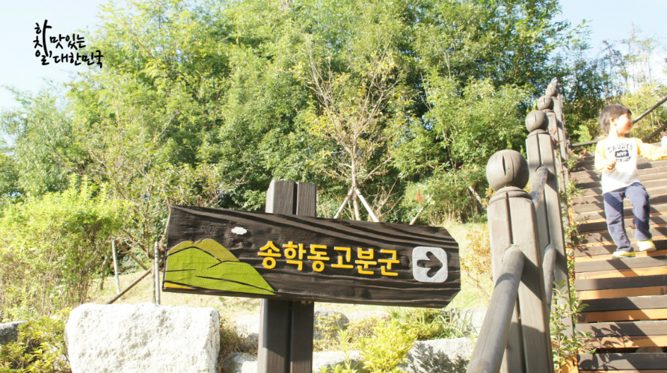 고성왕새우 이미지