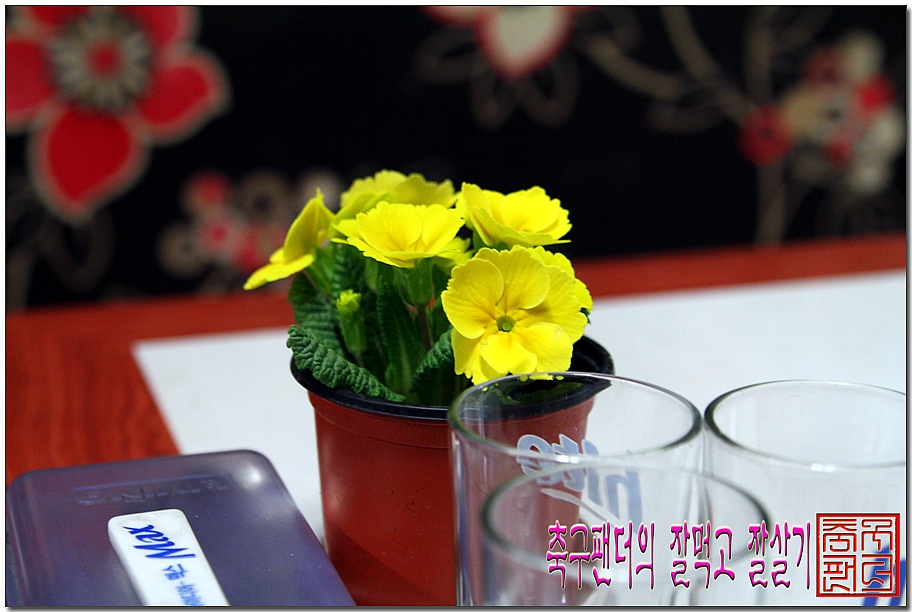 참조은생고기 이미지