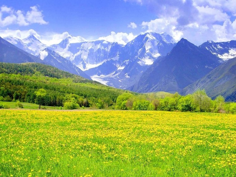 220D714D52A50DF510518D