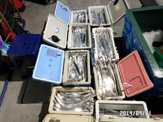 2211EB4F54039E801465D9