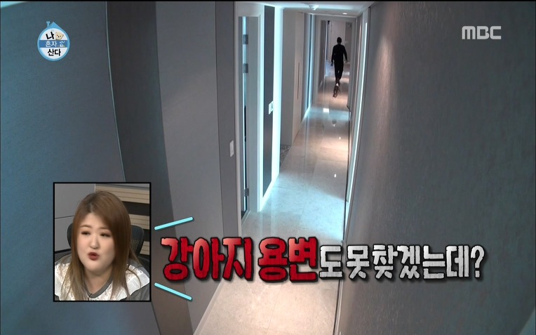  용감한형제 럭셔리 라이프 | 인스티즈