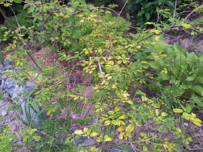 2014년 5월 16일 오전 09:53