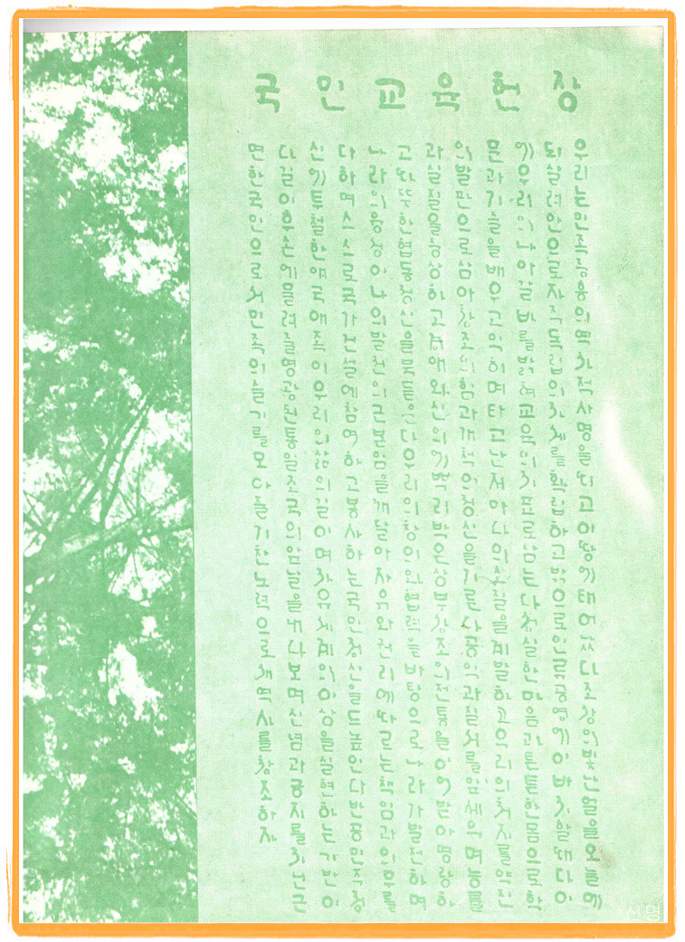 223EA35052D34D7804BE61