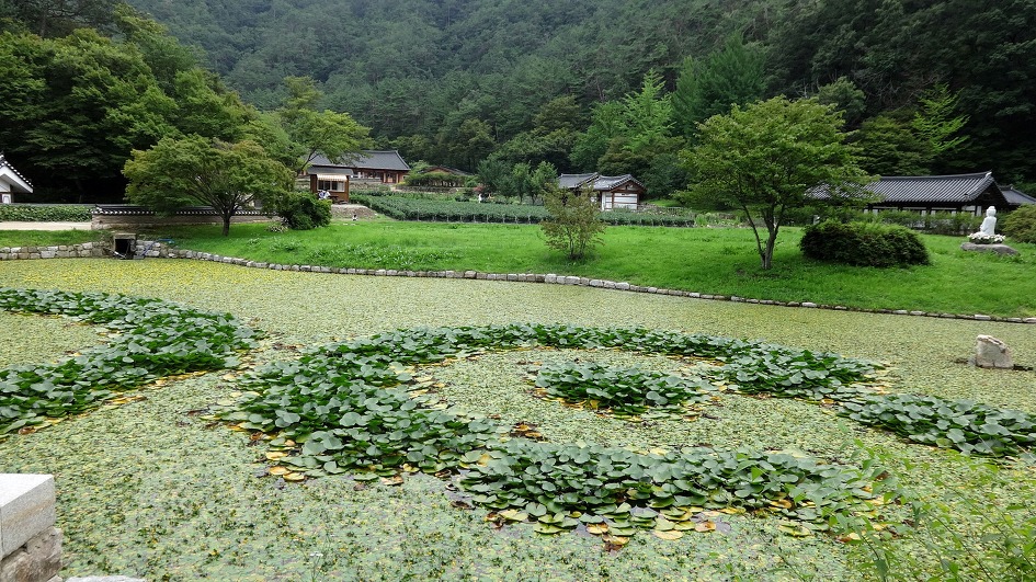 천축산 불영사 (경북 울진)